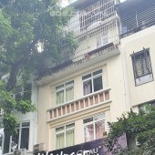 Bán nhà mặt phố Nguyễn Hữu Huân, Hoàn Kiếm 102mxMT6.1m, KD đỉnh cao, giá 110 tỷ. LH: 0366051369